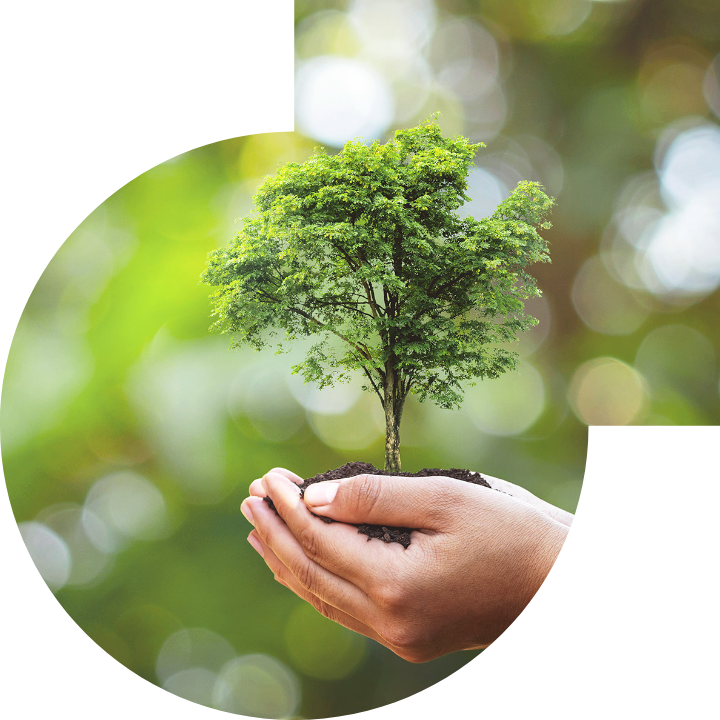 关怀人类、文化、环境与社会